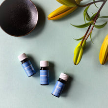 Load image into Gallery viewer, CLEARANCE: In Essence Lemon Pure Essential Oil 9ml