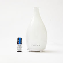 Load image into Gallery viewer, In Essence: Glass Diffuser & Vanilla in Jojoba Gift Set