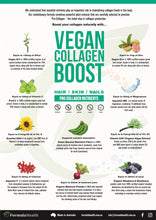 Load image into Gallery viewer, Vegan Collagen Boost
